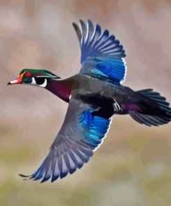 Flying Wood Duck Paint By Numbers