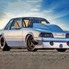 Grey Fox Body Mustang Paint By Numbers