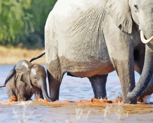 Mom And Baby Elephant In Water Paint By Numbers