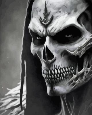 Monochrome Skull Paint By Numbers