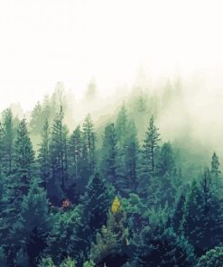 Nature Forest Trees Fog Paint By Numbers