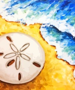 Sand Dollar Paint By Numbers