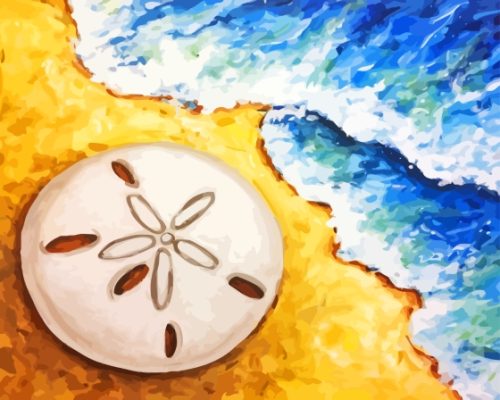 Sand Dollar Paint By Numbers