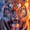 Tiger Fire Paint By Numbers