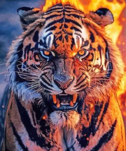 Tiger Fire Paint By Numbers