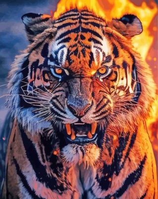 Tiger Fire Paint By Numbers