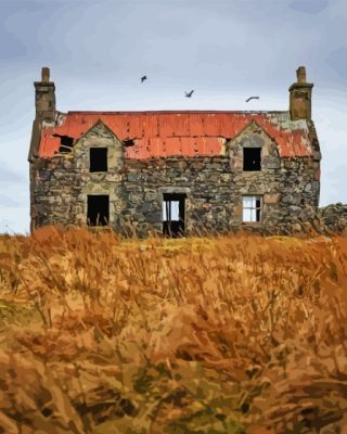 Vintage Abandoned Cottage Paint By Numbers