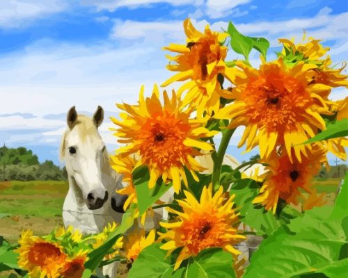 White Horses In Sunflowers Paint By Numbers