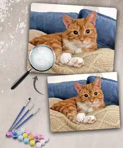 Custom Paint By Numbers​ Pets
