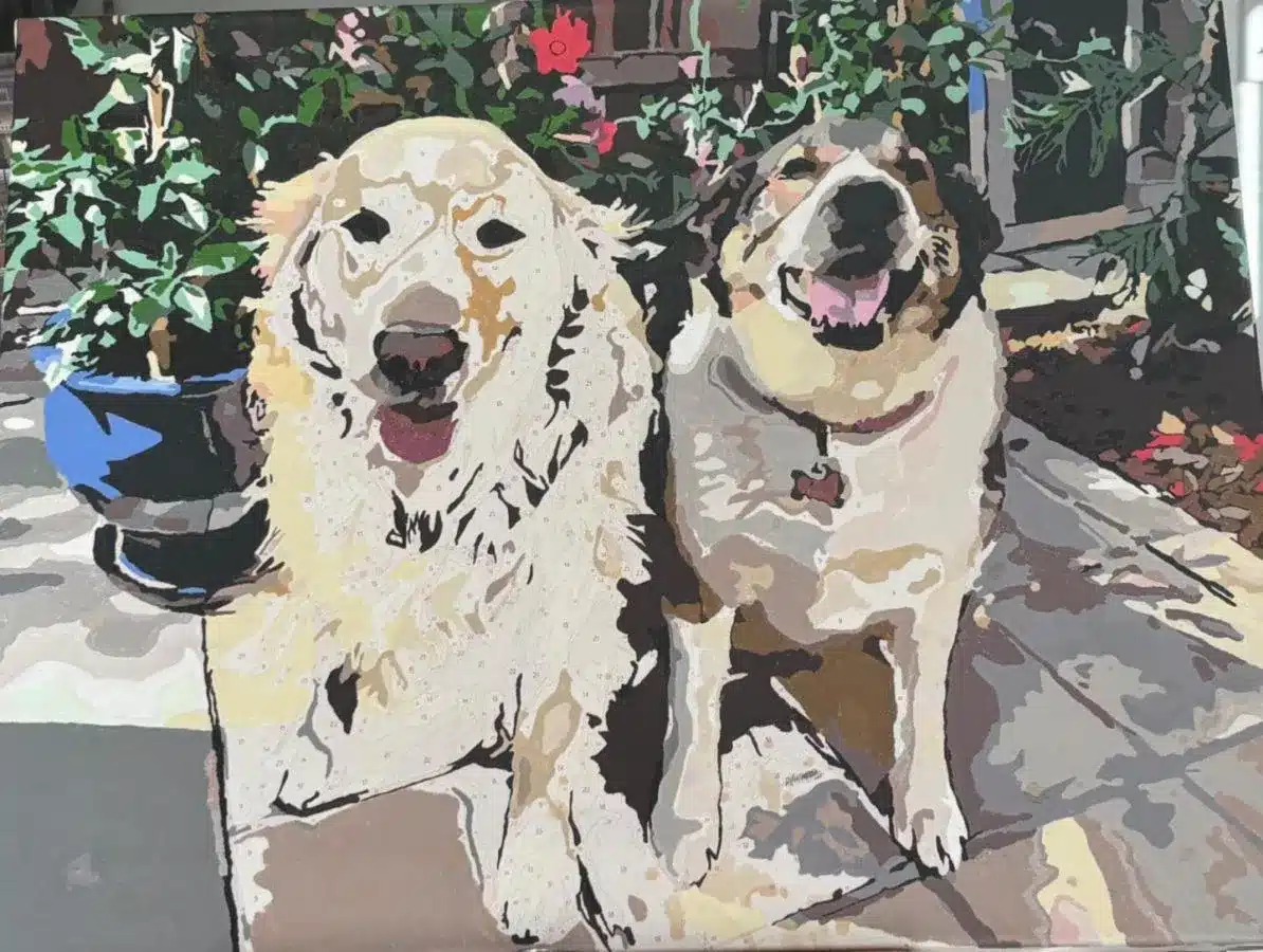 Custom Paint By Numbers​ Pets Rev 1