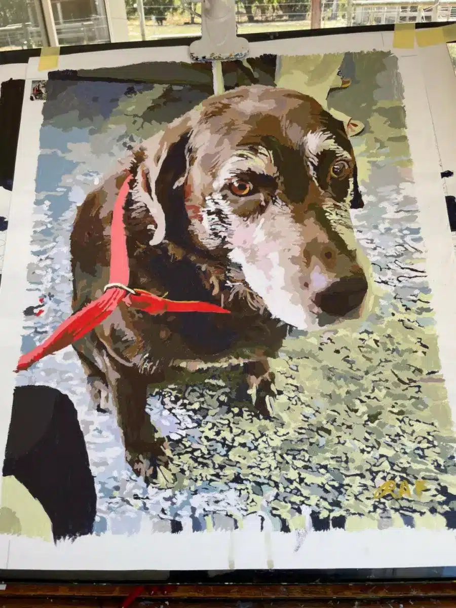 Custom Paint By Numbers​ Pets Rev 2
