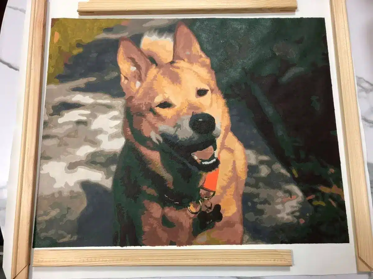 Custom Paint By Numbers​ Pets Rev 7